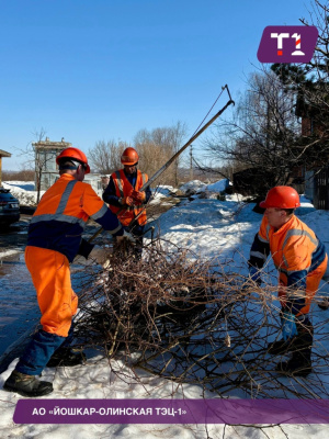 Oб обрезке крон деревьев возле линий электропередач.