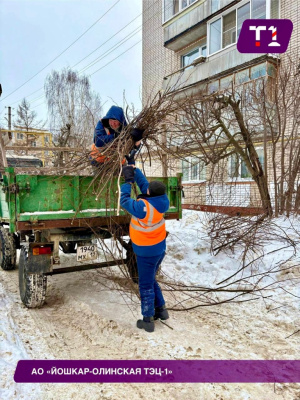 О проведении работ по обрезке крон деревьев.